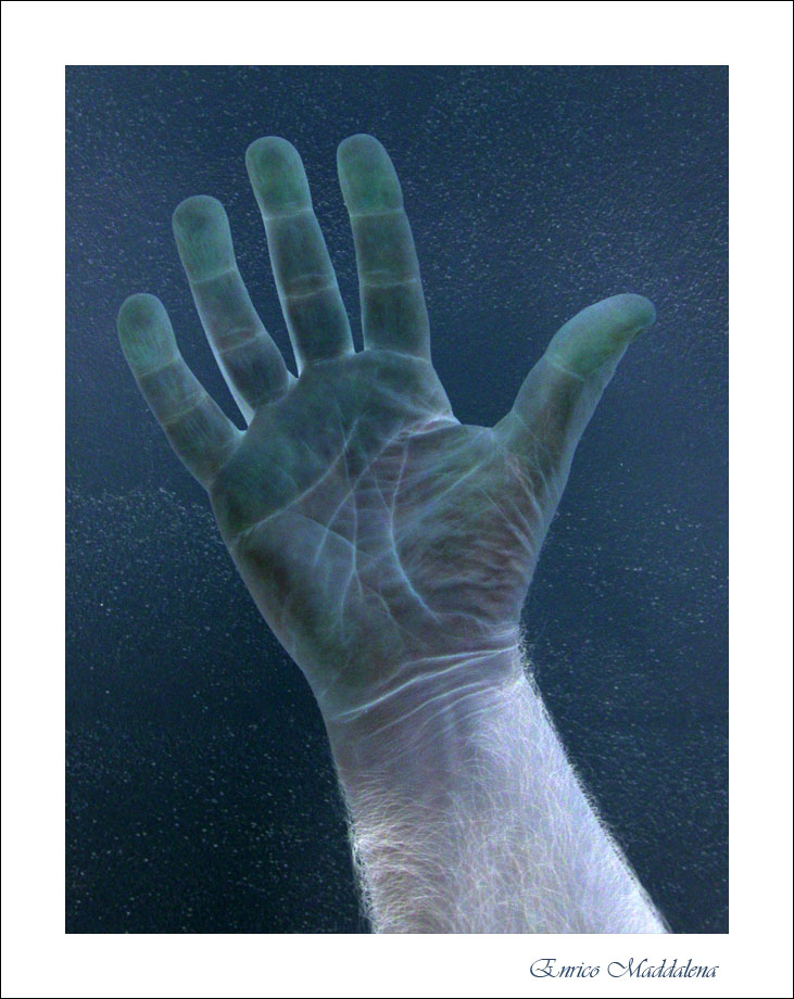 Immagine ridimensionata: clicca sull'immagine per vederla con le dimensioni originali.