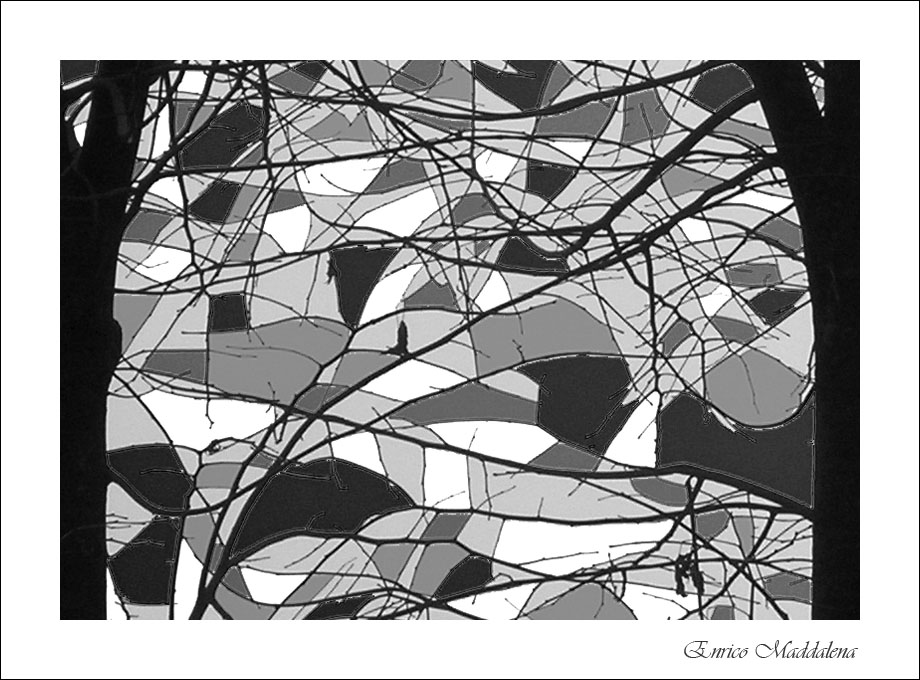 Immagine ridimensionata: clicca sull'immagine per vederla con le dimensioni originali.