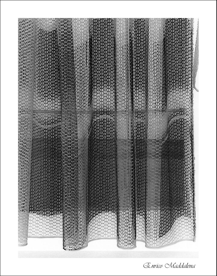 Immagine ridimensionata: clicca sull'immagine per vederla con le dimensioni originali.