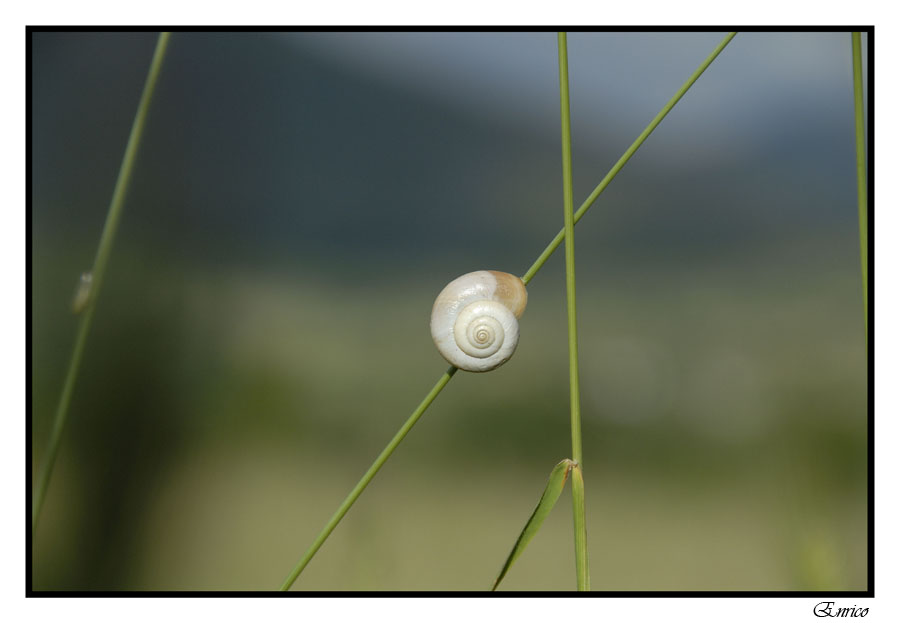Immagine ridimensionata: clicca sull'immagine per vederla con le dimensioni originali.