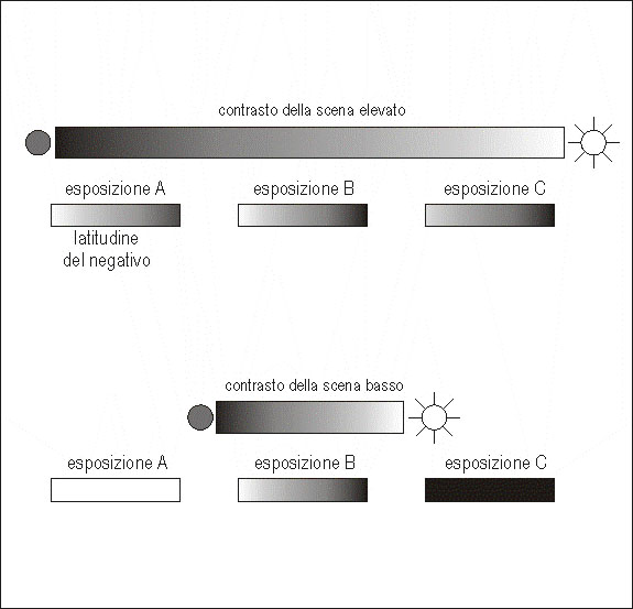 Immagine ridimensionata: clicca sull'immagine per vederla con le dimensioni originali.